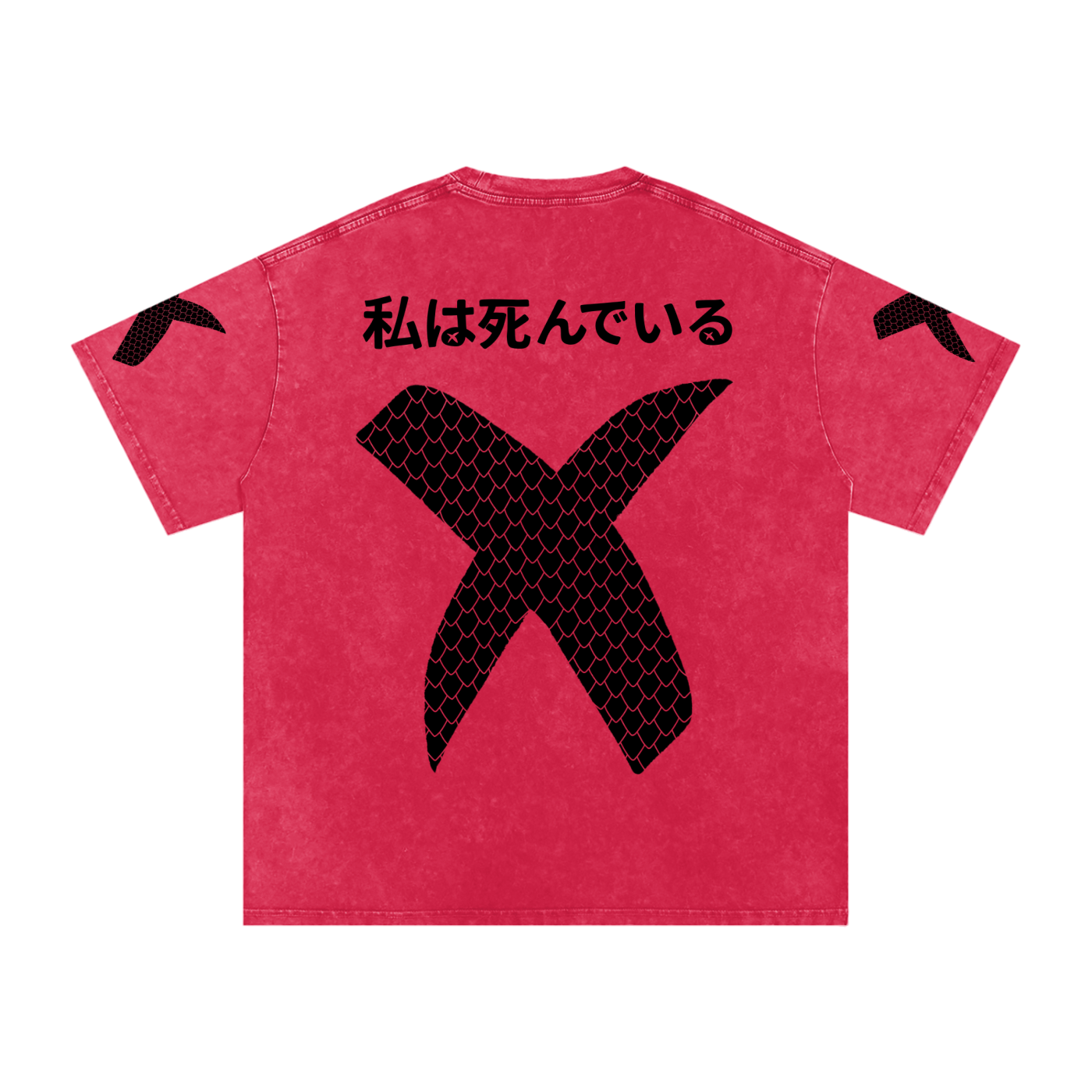 DRAGON SNOW WASHED T-SHIRT